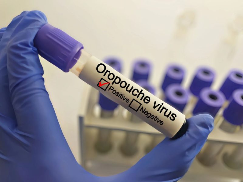 Virus de Oropouche