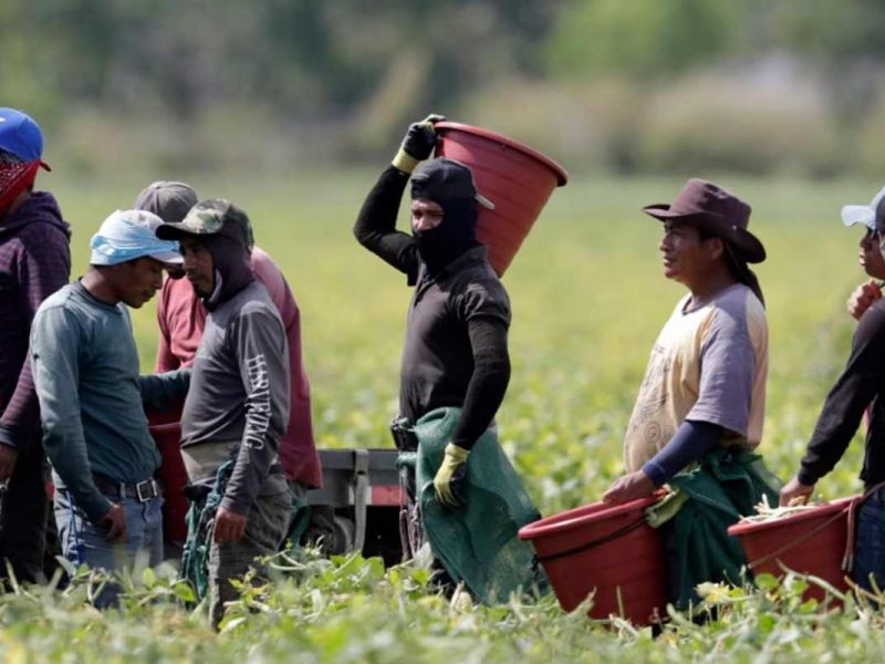 Secretaría del Migrante de Guanajuato