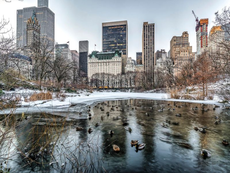 El clima en Nueva York hoy 15 de noviembre será parcialmente nublado con temperaturas frescas.