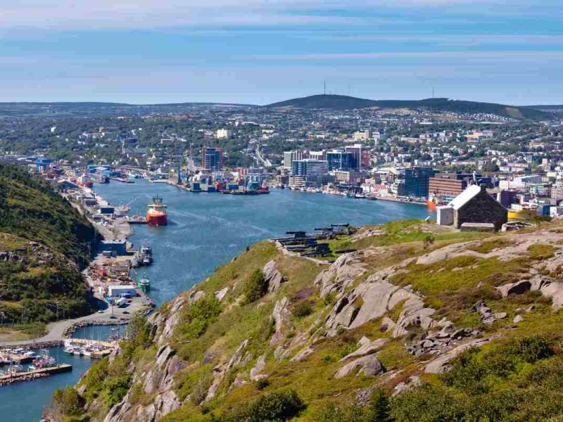 oferta de trabajo en Terranova y Labrador