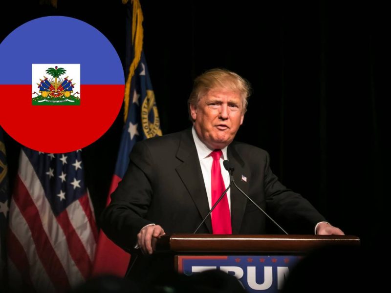 haitianos se comen a los gatos de sus vecinos