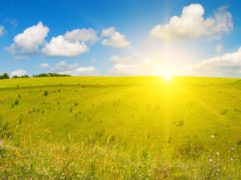 El clima en Nueva York hoy 13 de noviembre será fresco y despejado, ideal para disfrutar del otoño con temperaturas suaves.