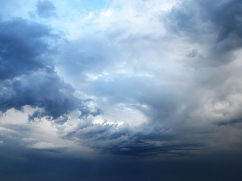 El pronóstico del clima en Los Ángeles hoy 19 de noviembre será nublado con vientos suaves.