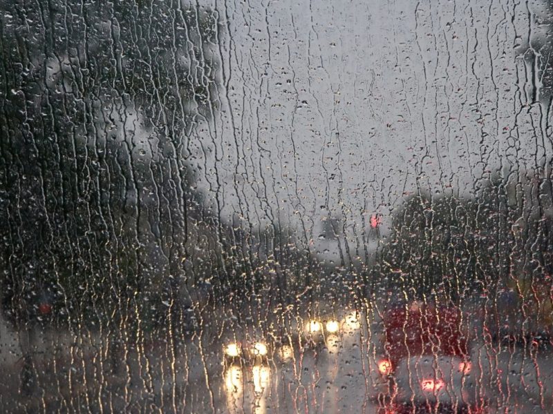 El clima en Houston hoy 8 de noviembre será nublado con lluvias dispersas durante el día y lluvias intensas en la noche.