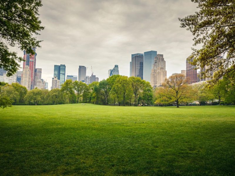 El clima en Nueva York hoy 5 de noviembre, será cálido, con vientos suaves y cielos parcialmente despejados.