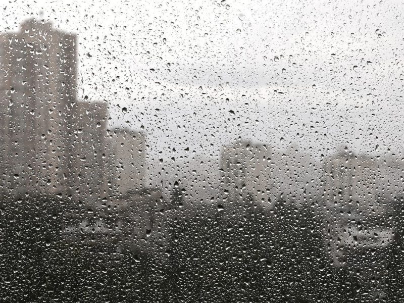 El clima en Los Ángeles hoy 15 de noviembre tendrá posibles chubascos matutinos y cielos parcialmente cubiertos.