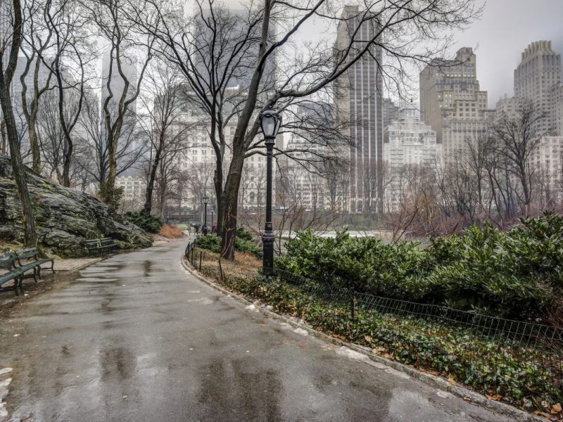 El reporte del clima en Dallas hoy 3 de noviembre indica probabilidad de lluvia