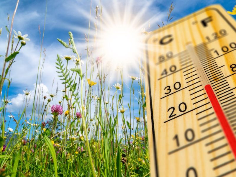 El clima en Los Ángeles hoy 1 de diciembre será soleado