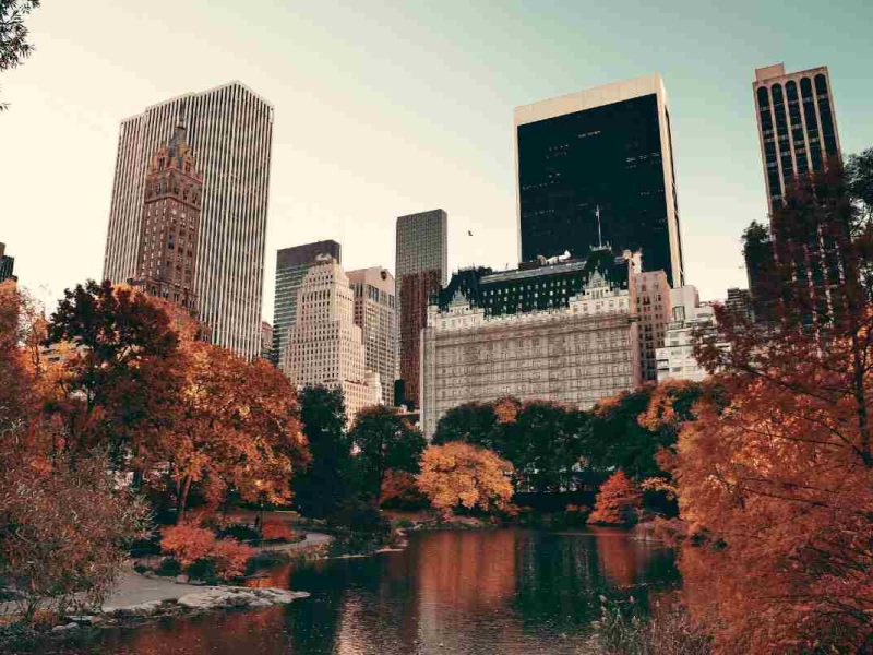 actividades para hacer en nueva york en otoño