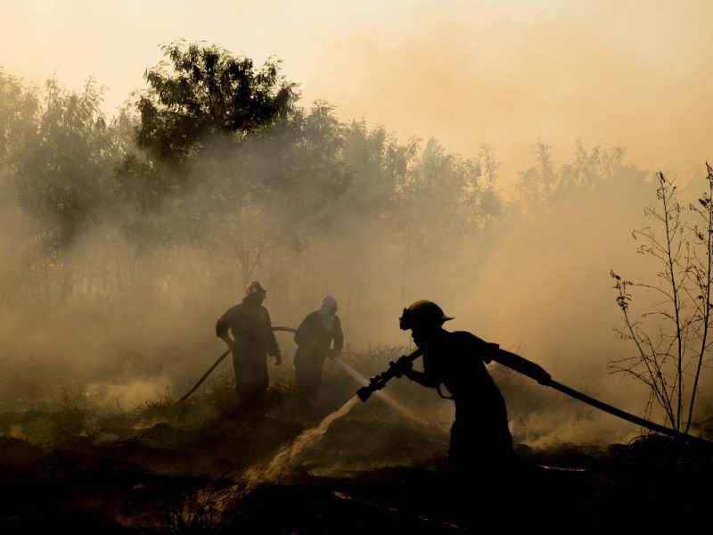 como proteger mi casa de un incendio forestal