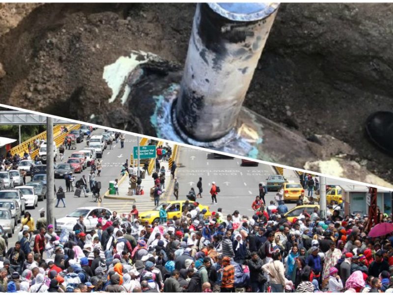 Los migrantes no sólo con personas que trabajan y envían remesas. Son ciudadanos con opinión y participación activa en el México del 2019