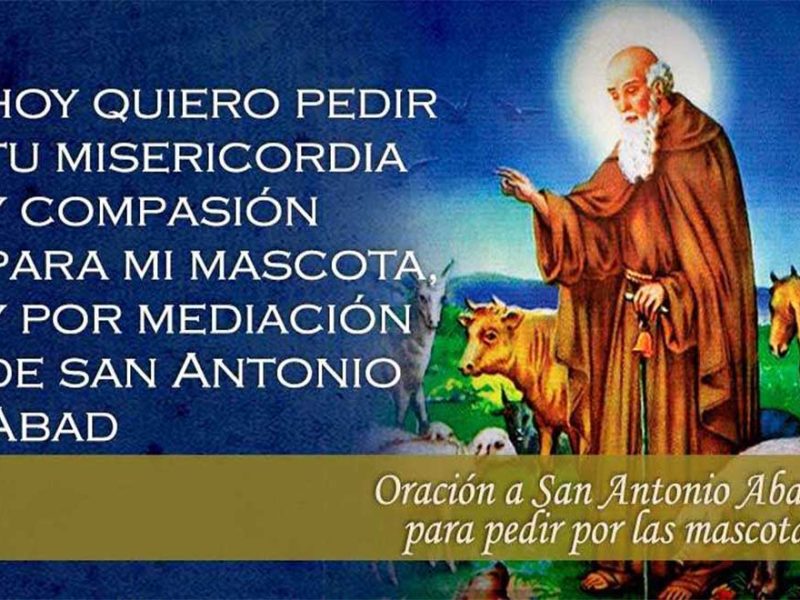 Oración a San Antonio Abad para pedir por las mascotas