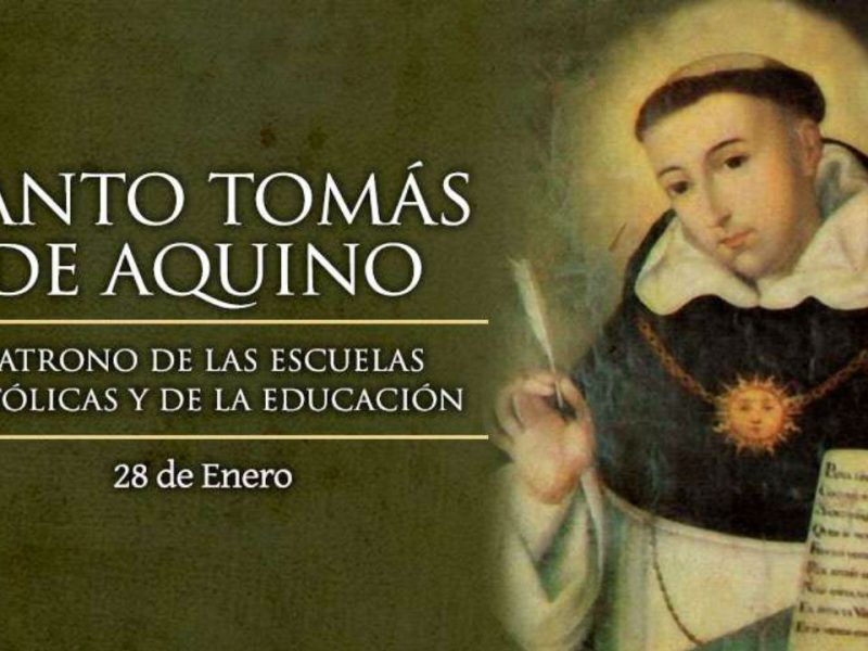¿Quién fue Santo Tomás de Aquino, doctor de la Iglesia?