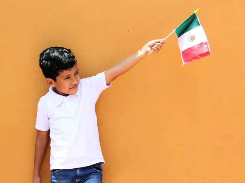 Como tramitar el permiso OP7