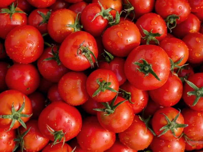 Lamenta gobierno mexicano imposición de arancel en exportación de tomates.