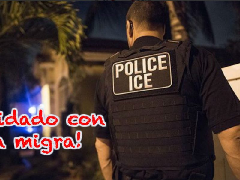 Estas son las prioridades de deportación de ICE para 2019