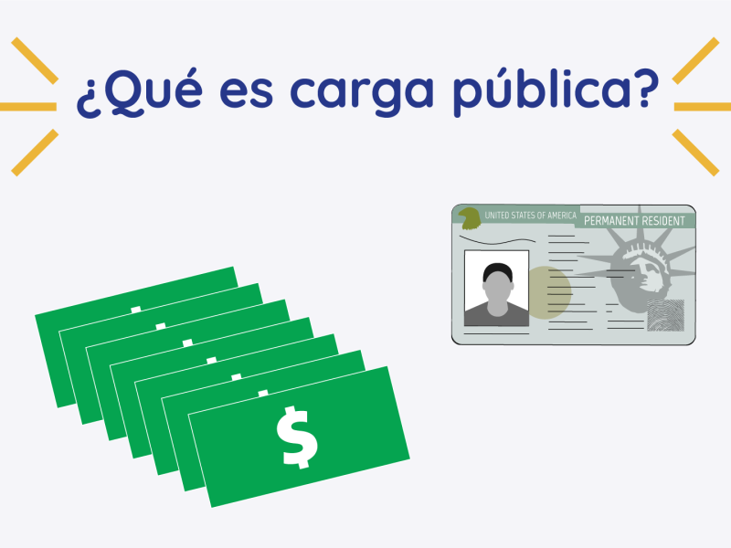 Carga publica portada