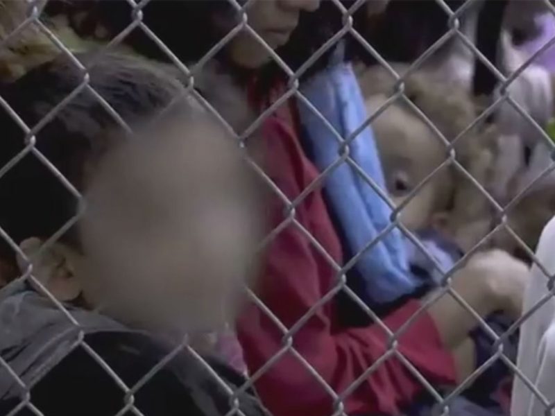 Niños separados de sus padres experimentaron un trauma mental severo