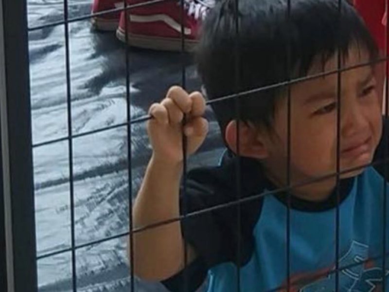 Imagen representativa