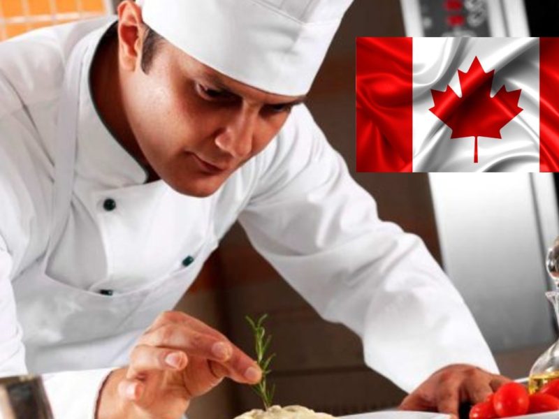 Canadá está en busca de 14 mexicanos que les interese mudarse a la ciudad, con un sueldo aproximado de 28 mil 200 a 37 mil 700 pesos mensuales.