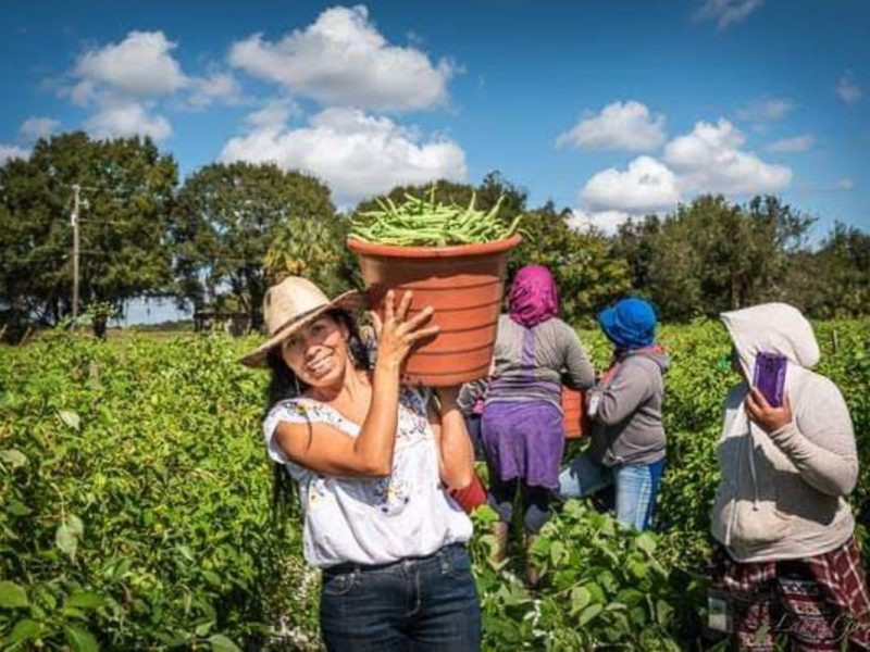 Son las mujeres y no sólo los hombres quienes realizan el trabajo pesado en los campos