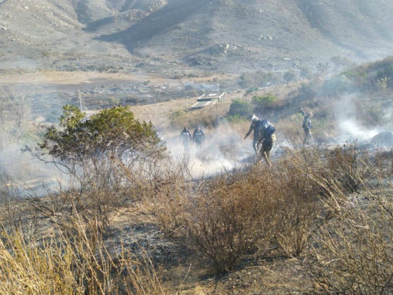 Protección Civil continúa actuando contra los incendios en Baja California
