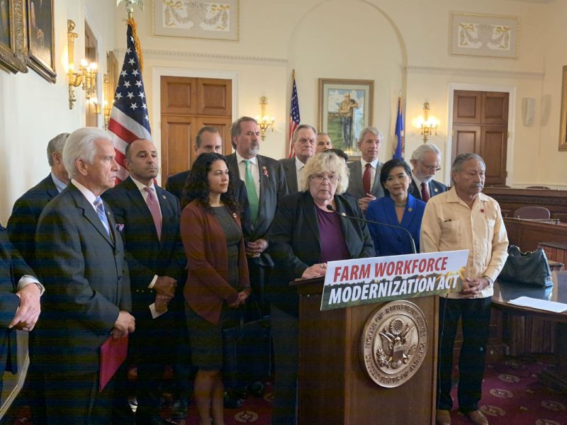 La United Farm Workers dijo que el proyecto beneficiaría a 1 millón de trabajadores agrícolas en todo el país