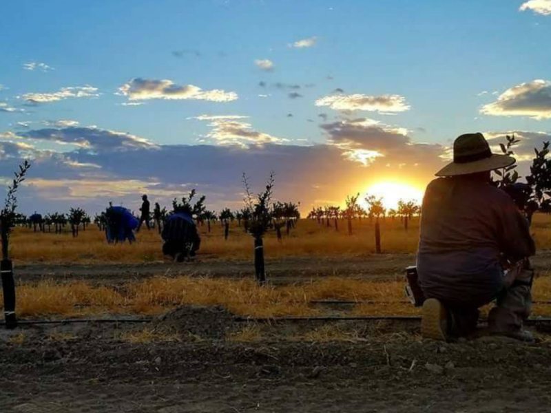 La propuesta para regularizar a los trabajadores agrícolas cuenta con el apoyo de 24 demócratas y 20 republicanos