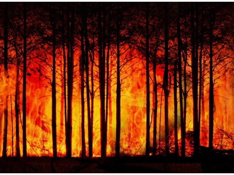 El cambio climático está emergiendo como un impulsor de la migración que complica las vulnerabilidades existentes, según una nueva columna publicada hoy por el Center for American Progress.