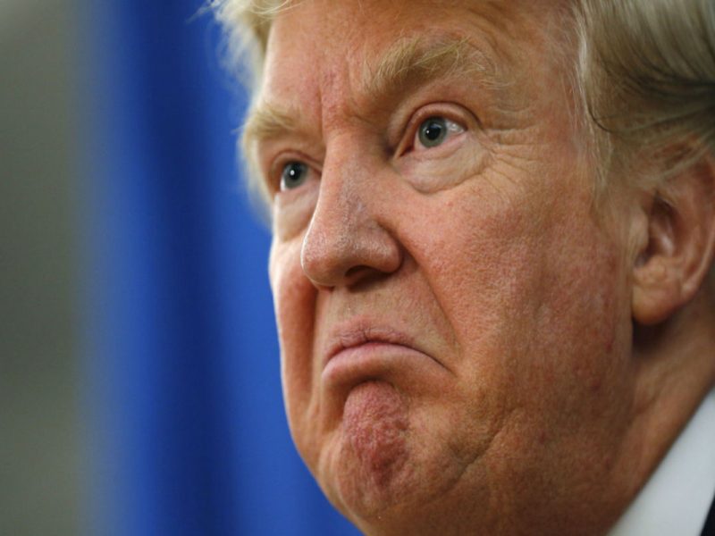 El 70 por ciento de los jóvenes encuestados entre las edades de 18 y 39 años votarán en las próximas elecciones para elegir al nuevo presidente de EU