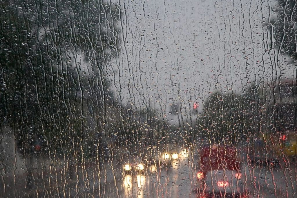 Imagen actual: Clima en Houston hoy 9 de enero de 2025