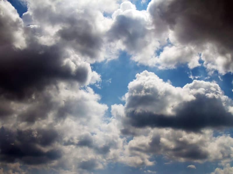 Clima en Chicago hoy 20 de enero de 2025