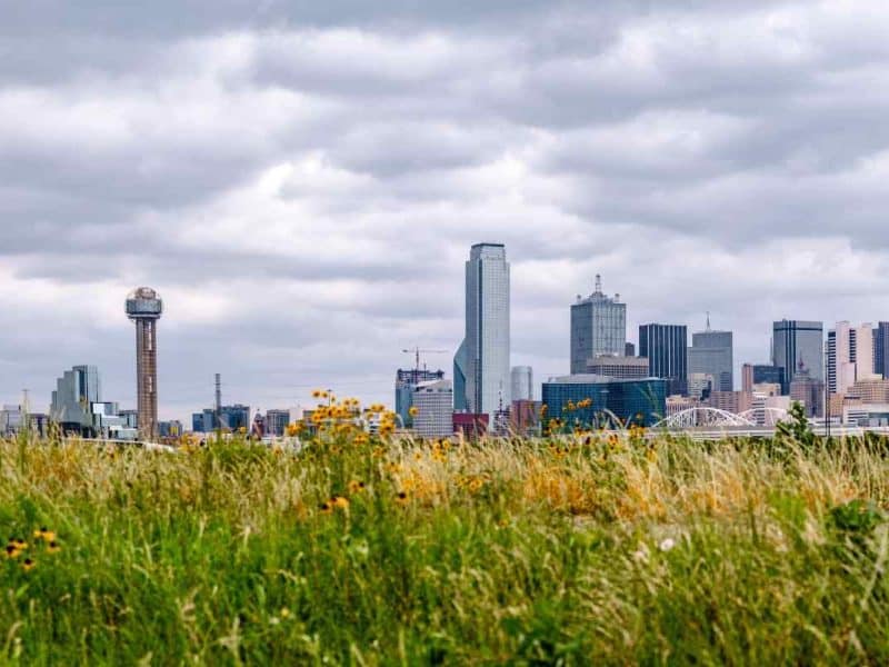 Clima en dallas hoy 20 de enero de 2025