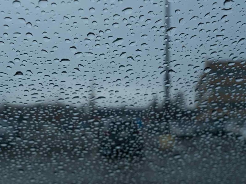 Clima en Los Ángeles hoy 25 de enero de 2025