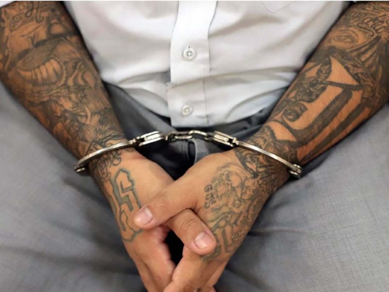 cárteles mexicanos terroristas