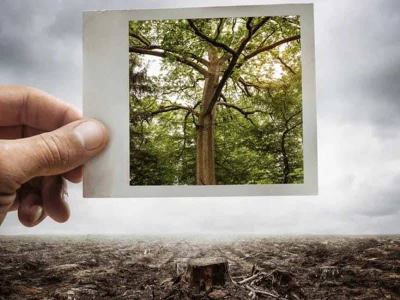 Imagen de archivo de Depositphotos