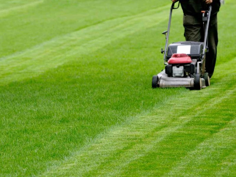 jardinero en New Hampshire