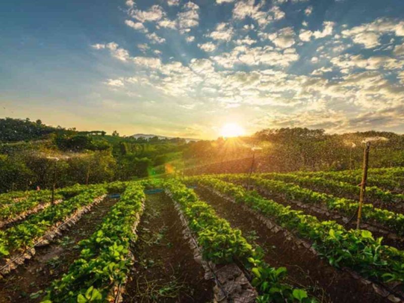 Imagen de archivo de Depositphotos