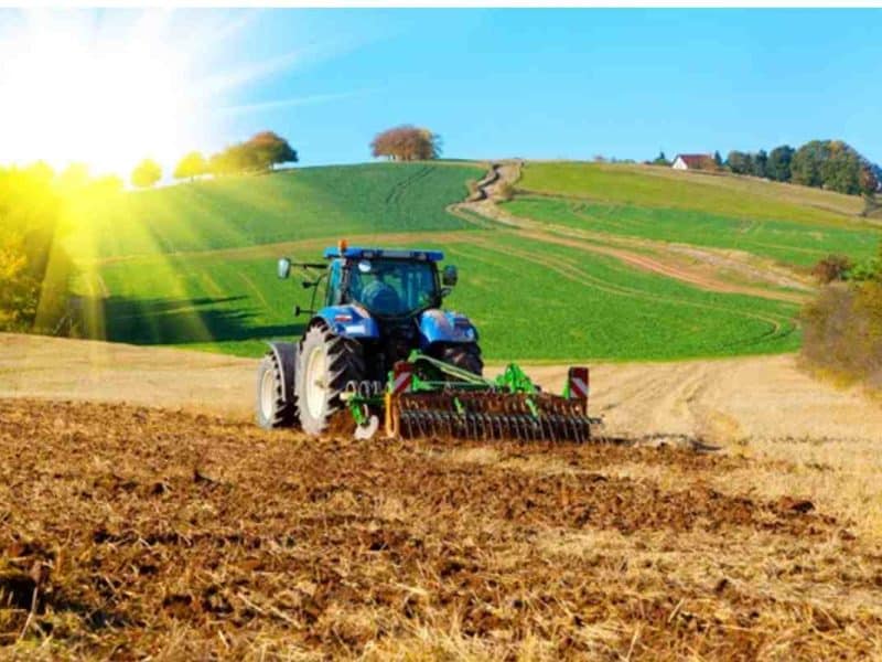 Imagen de archivo de Depositphotos