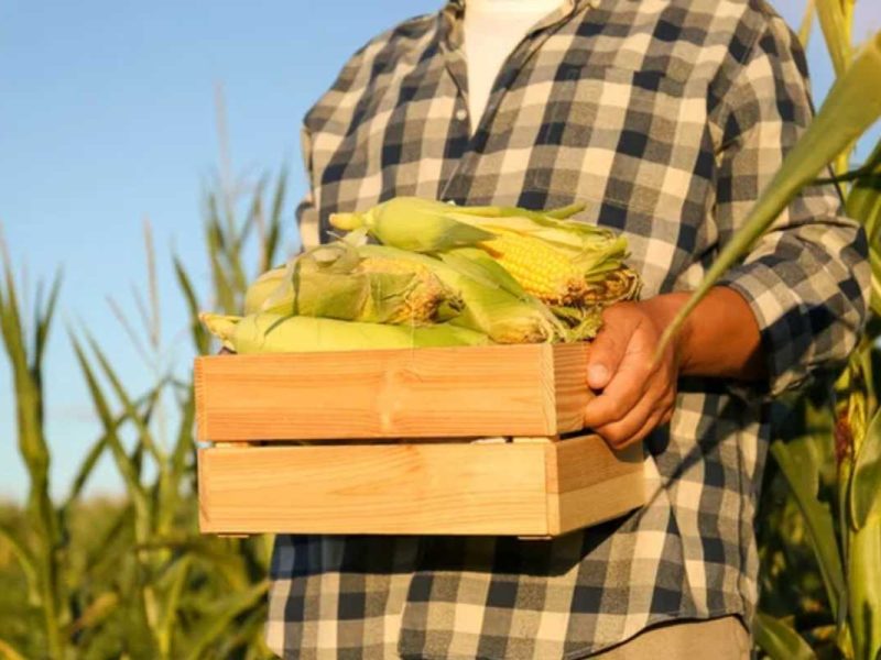 Imagen de archivo de Depositphotos