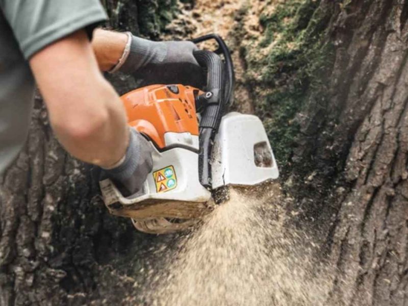 Imagen de archivo de Depositphotos