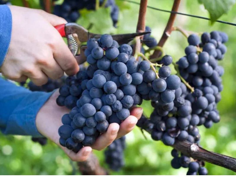 Foto: Imagen de archivo de Depositphotos