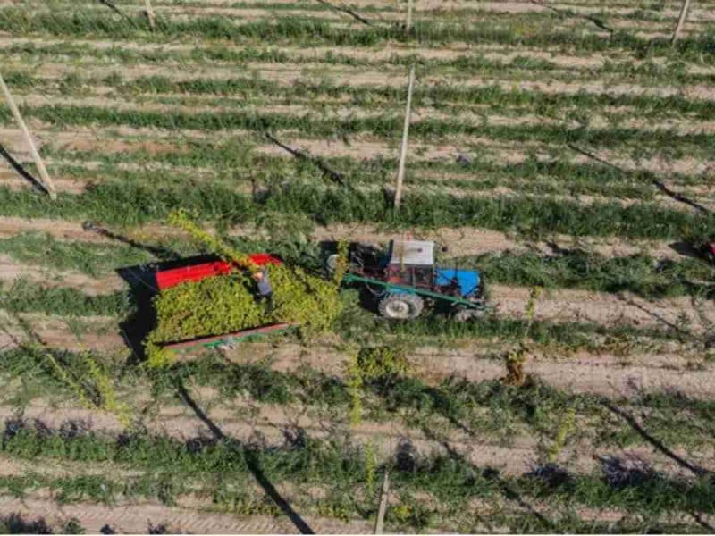 Foto: Imagen de archivo de Depositphotos