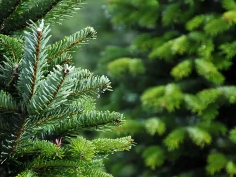 Foto: Imagen de archivo de Depositphotos