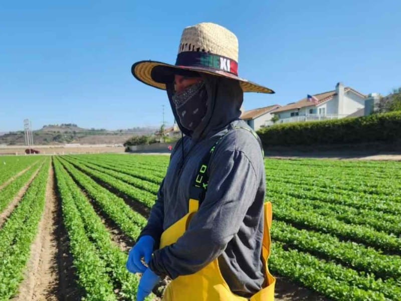 cambios en la visa para trabajadores agrícolas