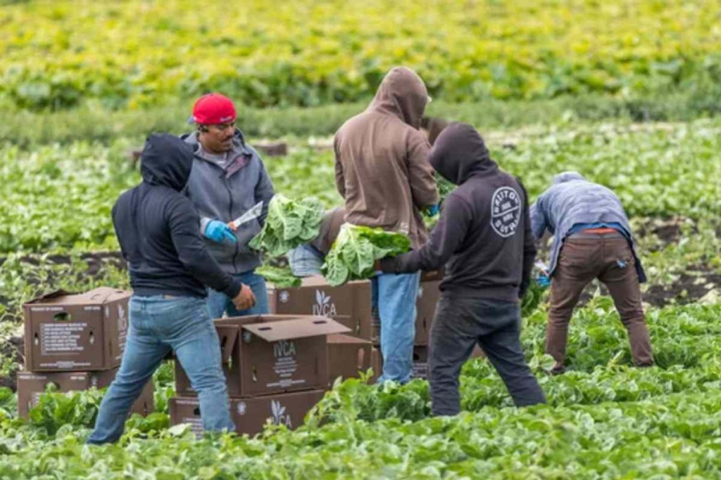 Imagen actual: trabajo en el campo l depositphotos
