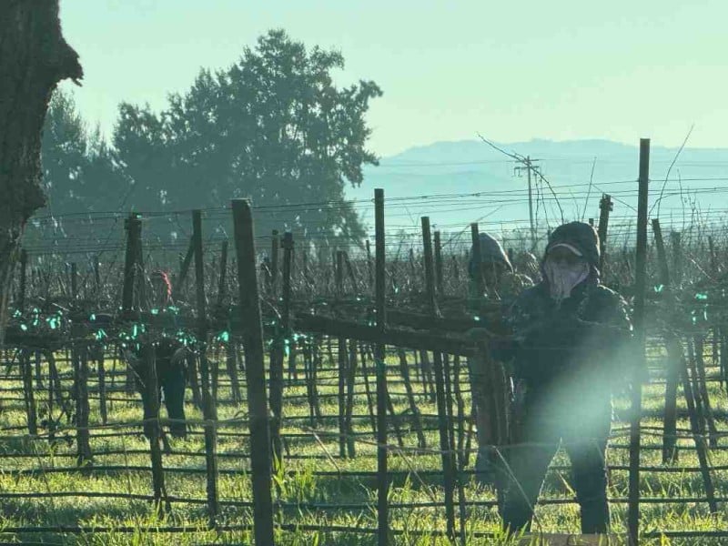 Derechos de los trabajadores migrantes UFW