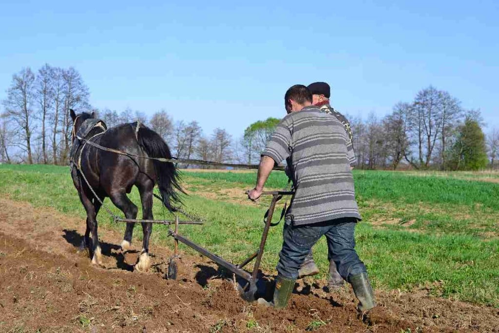 l Foto: imagen de depositphotos