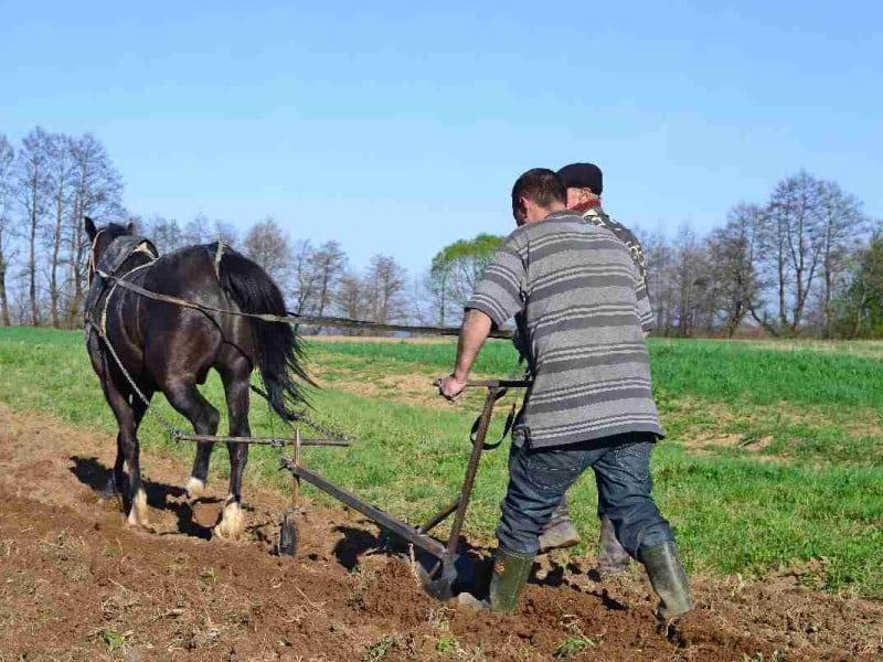 l Foto: imagen de depositphotos