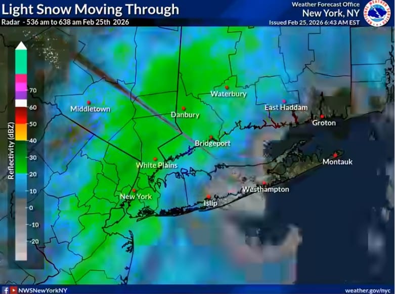 tormenta de nieve en nueva york